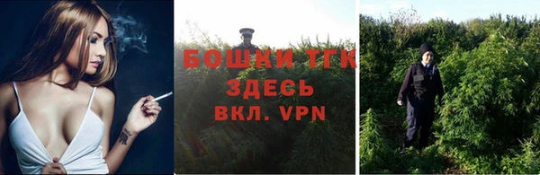 экстази Гусев