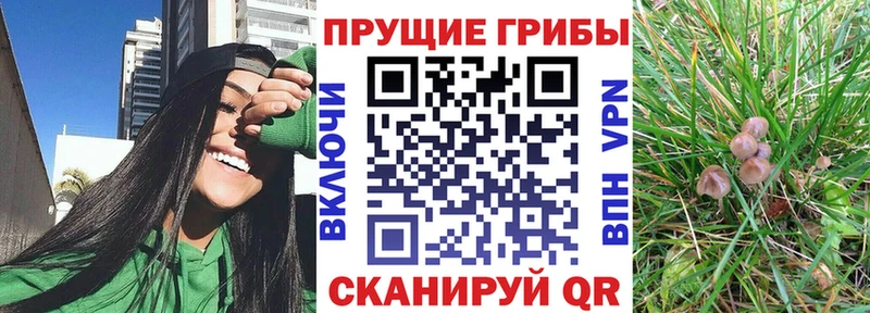 купить закладку  Нурлат  OMG   Галлюциногенные грибы прущие грибы 