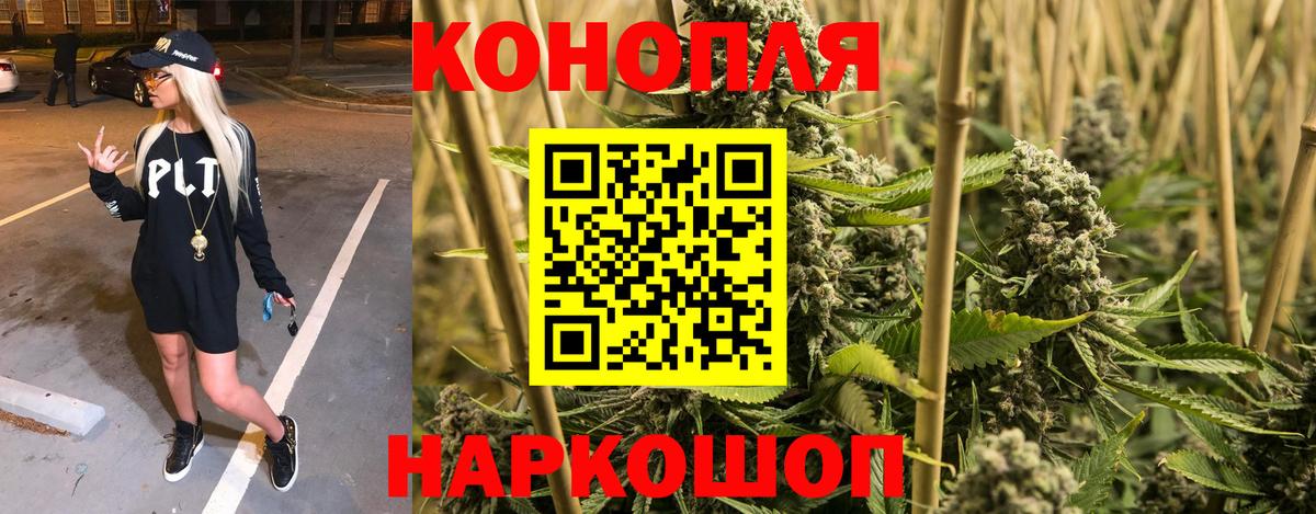 Бошки Шишки планчик  Нурлат  Бошки Шишки конопля  Шишки марихуана OG Kush 